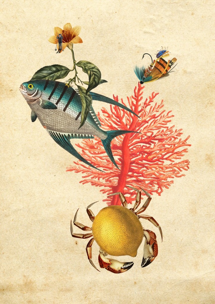 La Deriva — Territorio Incierto