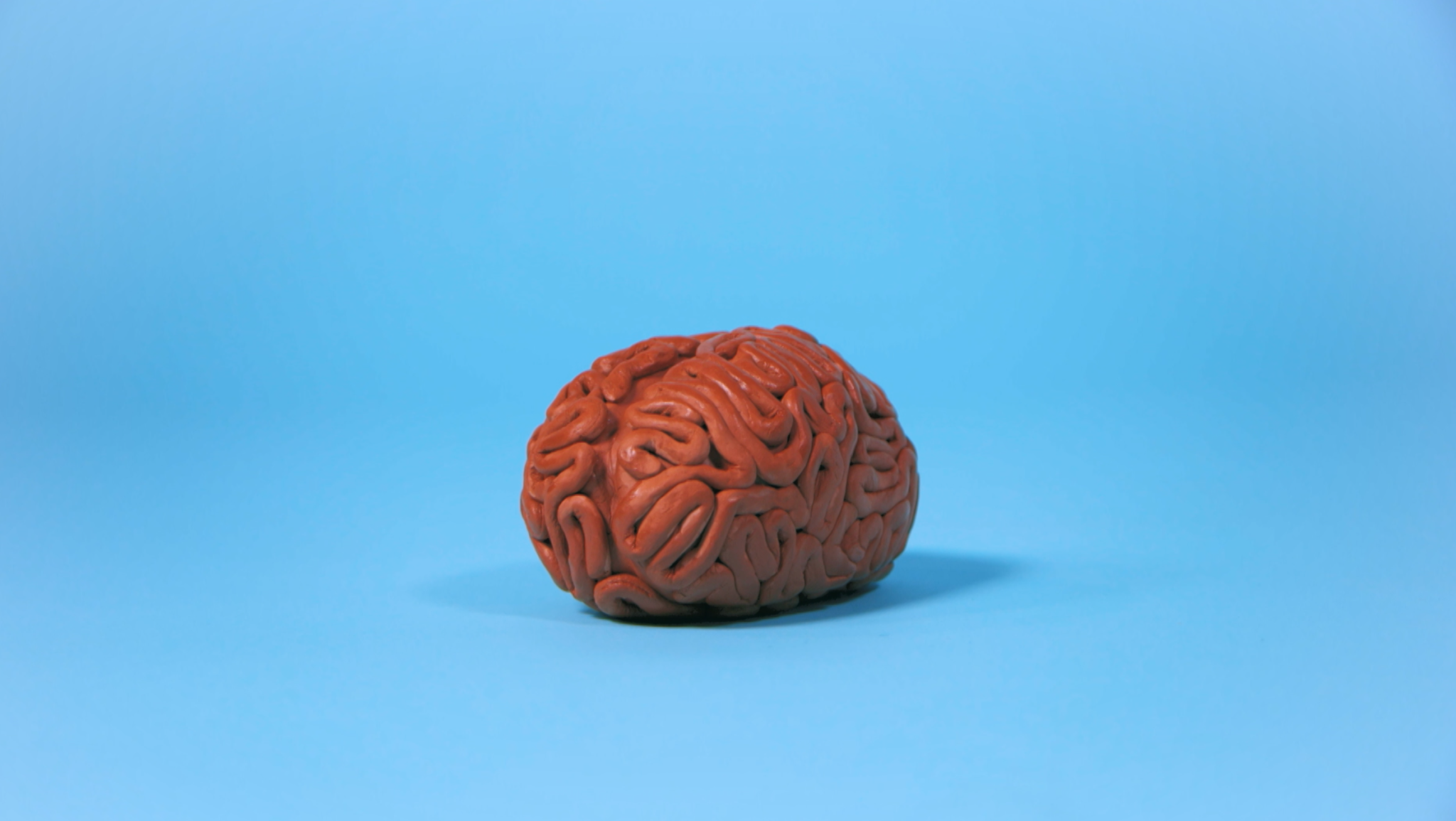 Cerebro de arcilla